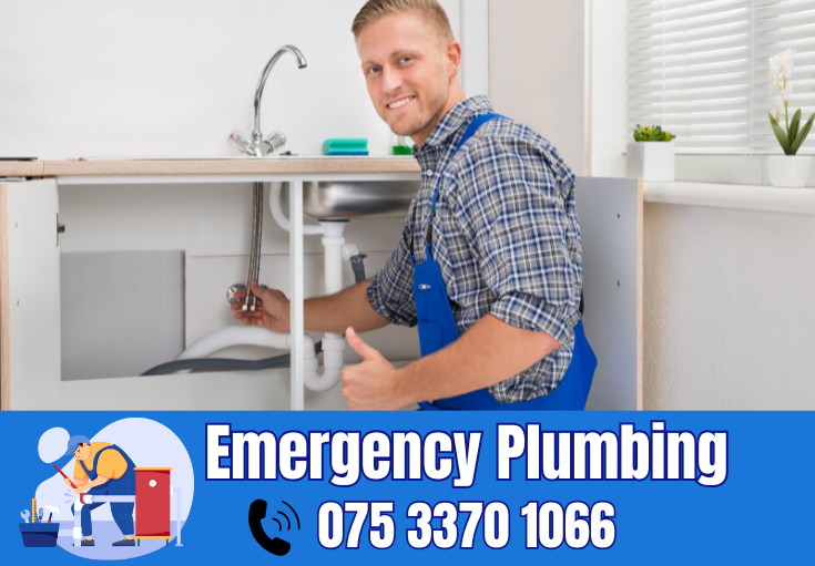  plumber Trottiscliffe
