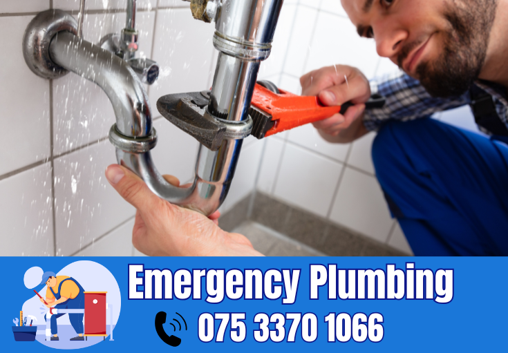  plumber Ightham