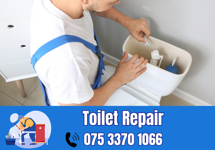 toilet repair Wrotham